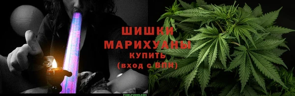 гидропоника Алзамай