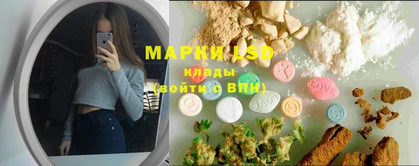 гидропоника Алзамай