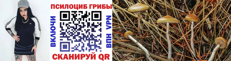 Галлюциногенные грибы мицелий  магазин продажи наркотиков  Лихославль 